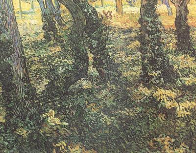 Vincent Van Gogh Tree Trunks with Ivy (nn04) china oil painting image